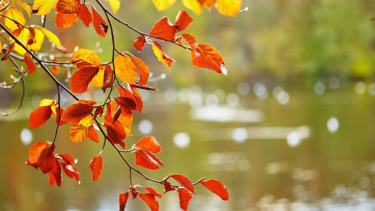 Ci vediamo a&nbsp;settembre!