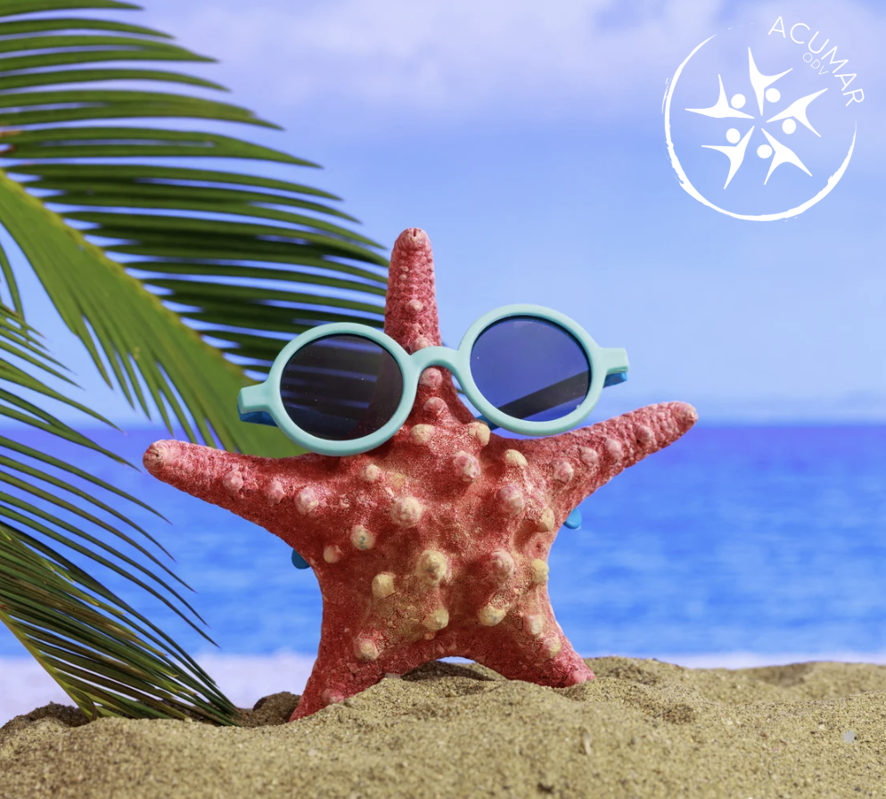 Ci rivediamo a&nbsp;settembre